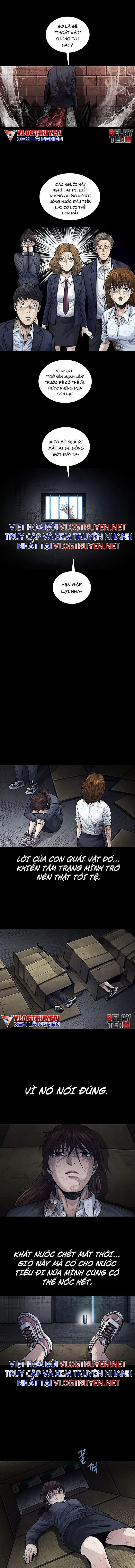 Đọc truyện Hive - Thảm họa ong độc - Chap 252